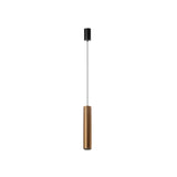 PNY viseća lampa ALDD0580A zlatna